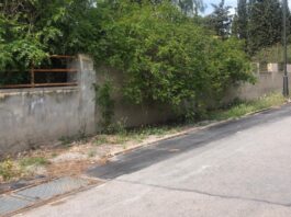 El PP recoge las quejas de vecinos de los girasoles por el estado intransitable de aceras y parcelas insalubres