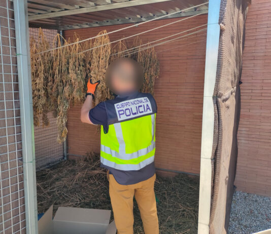 La Policía Nacional desarticula dos puntos negros de droga en Alicante y San Vicente dedicados al menudeo de marihuana y cocaína