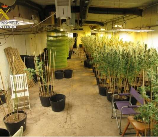 La Guardia Civil desmantela un grupo criminal dedicado al cultivo de marihuana en San Vicente del Raspeig