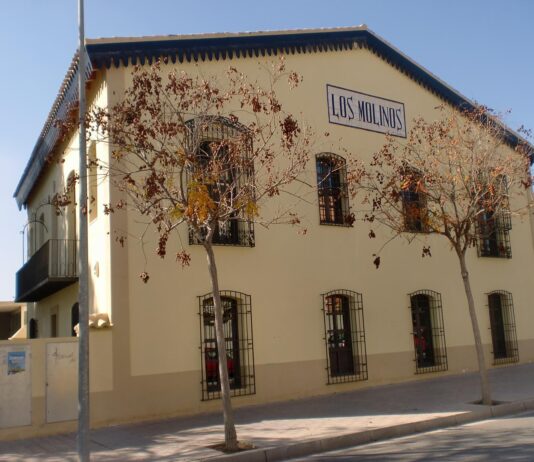 Compromís propone la puesta en marcha definitiva del Consell de la Joventut de Sant Vicent