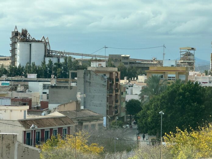 WhatsApp Image 2025-12-15 at 13.21.57