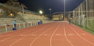 Nuevo año, ilusiones renovadas