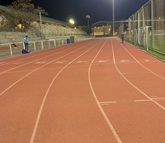 Nuevo año, ilusiones renovadas