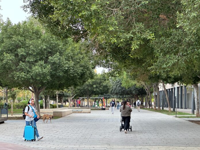 Parque Vicente Savall (2)