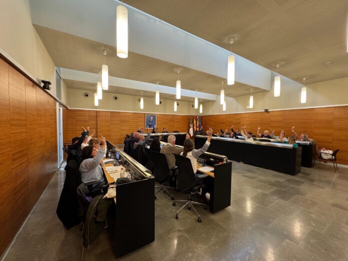 Pleno ordinario de febrero