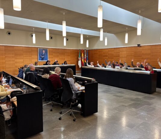 El pleno da luz verde a un nuevo Consejo de Medio Ambiente que dará voz a asociaciones, entidades, centros educativos y ciudadanía