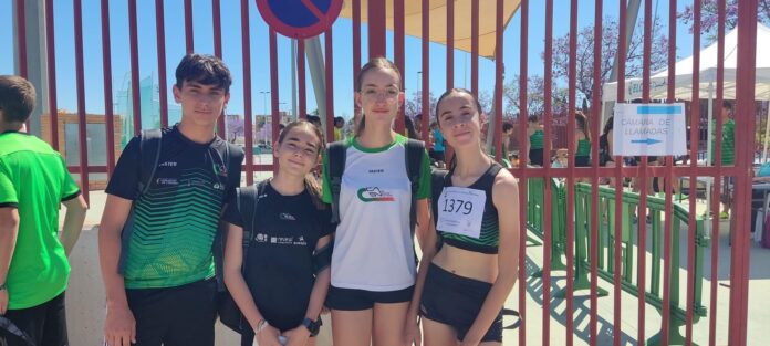 Cto Aut sub16 5