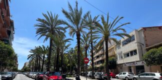 El Ayuntamiento ampliará la operación de remodelación del centro urbano con la reforma de la plaza de la Cierva y calle Maestro Chapí
