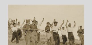 La Universidad de Alicante exhibe por primera vez un valioso fondo fotográfico inédito sobre la Guerra Civil