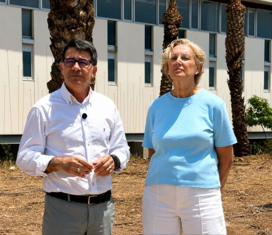 El Ayuntamiento de San Vicente plantará más de 450 árboles y creará el primer palmeral urbano del municipio