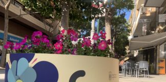 Esquerra Unida denuncia el “abandono” del comercio local por parte del gobierno del PP y VOX en San Vicente