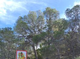 El Ayuntamiento de San Vicente del Raspeig pide la colaboración ciudadana para extremar las medidas de prevención de incendios