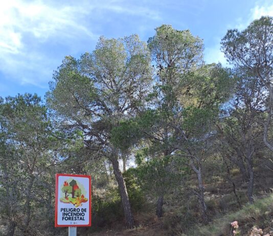 El Ayuntamiento de San Vicente del Raspeig pide la colaboración ciudadana para extremar las medidas de prevención de incendios