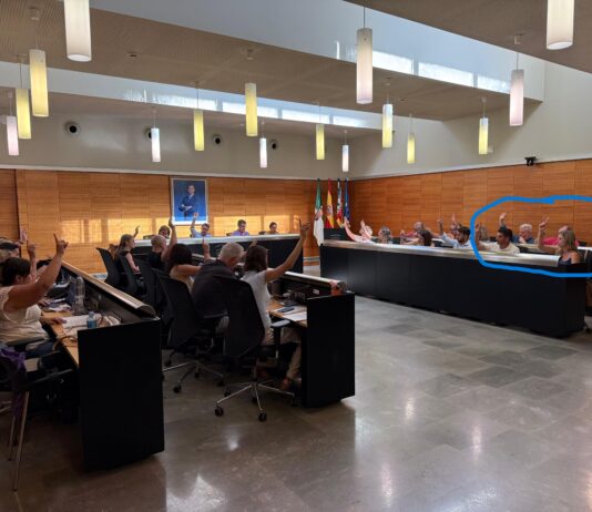 El pleno de San Vicente del Raspeig aprueba una moción para la redacción de una ordenanza con la que proteger el arbolado