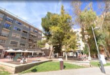 El PSOE pide una ordenanza de protección del arbolado urbano y de interés local