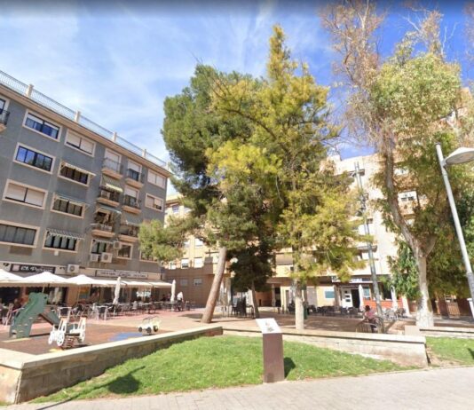 El PSOE pide una ordenanza de protección del arbolado urbano y de interés local
