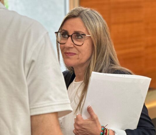 El PSOE propone un Plan de Accesibilidad Universal para lograr un San Vicente “más moderno e inclusivo”