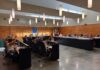 El pleno de San Vicente del Raspeig aprueba una moción para la redacción de una ordenanza con la que proteger el arbolado