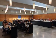 El pleno de San Vicente del Raspeig aprueba una moción para la redacción de una ordenanza con la que proteger el arbolado