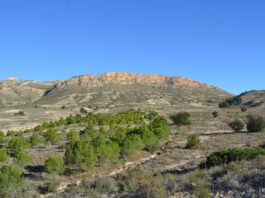Esquerra Unida defiende un Consejo de Medio Ambiente útil y cuestiona la ausencia del Cercle d’Estudis Sequet però Sanet