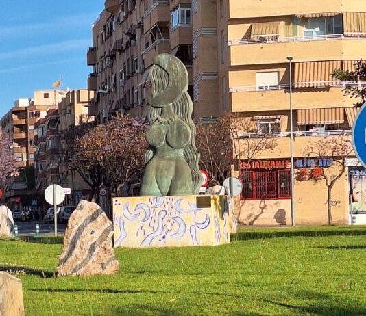 El Ayuntamiento de San Vicente del Raspeig da el primer paso para implantar una red de cámaras de vigilancia del tráfico